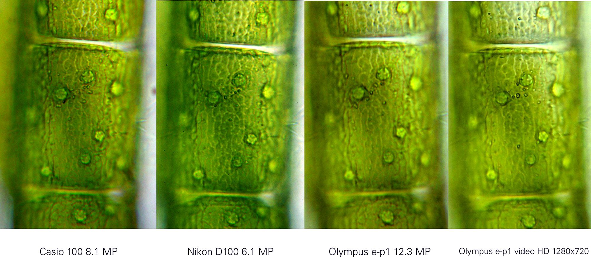 Prove comparative fotocamere